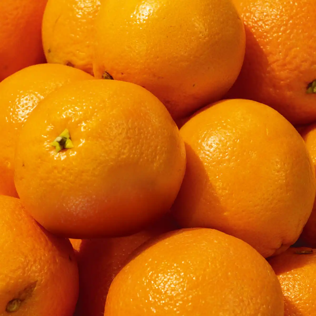 Bild 2 von Götterfrucht Orangen