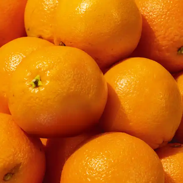 Bild 2 von Götterfrucht Orangen