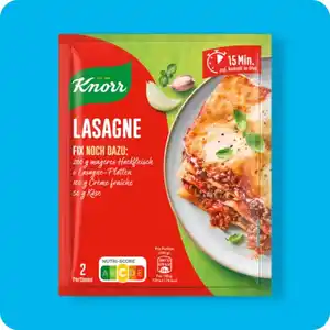 KNORR®  Fix, Lasagne