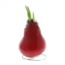 Bild 2 von GARDENLINE Amaryllis, gewachst