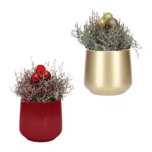 GARDENLINE Stacheldraht in Keramik