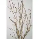 Bild 2 von Luca Lighting LED-Kerze, HxØ: 15,5 x 1,5 cm, batteriebetrieb, mit Timer