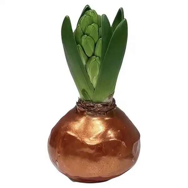 Bild 1 von GARDENLINE Hyazinthe gewachst