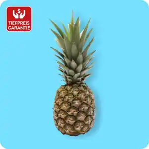   Ananas, Ursprung: Costa Rica