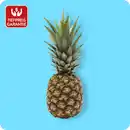 Bild 1 von   Ananas, Ursprung: Costa Rica