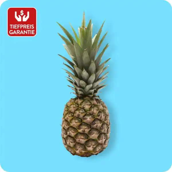 Bild 1 von   Ananas, Ursprung: Costa Rica