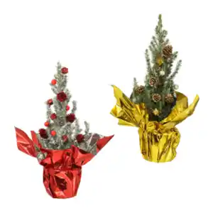 GARDENLINE Zuckerhutfichte