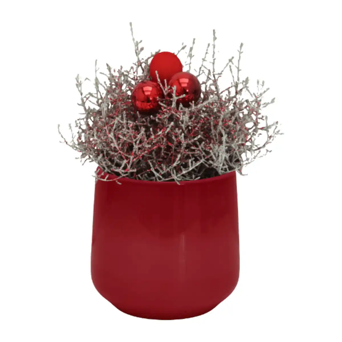 Bild 2 von GARDENLINE Stacheldraht in Keramik