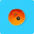 Bild 1 von KLEINE SCHÄTZE Orangen, Ursprung: Spanien / Argentinien / Uruguay / Südafrika