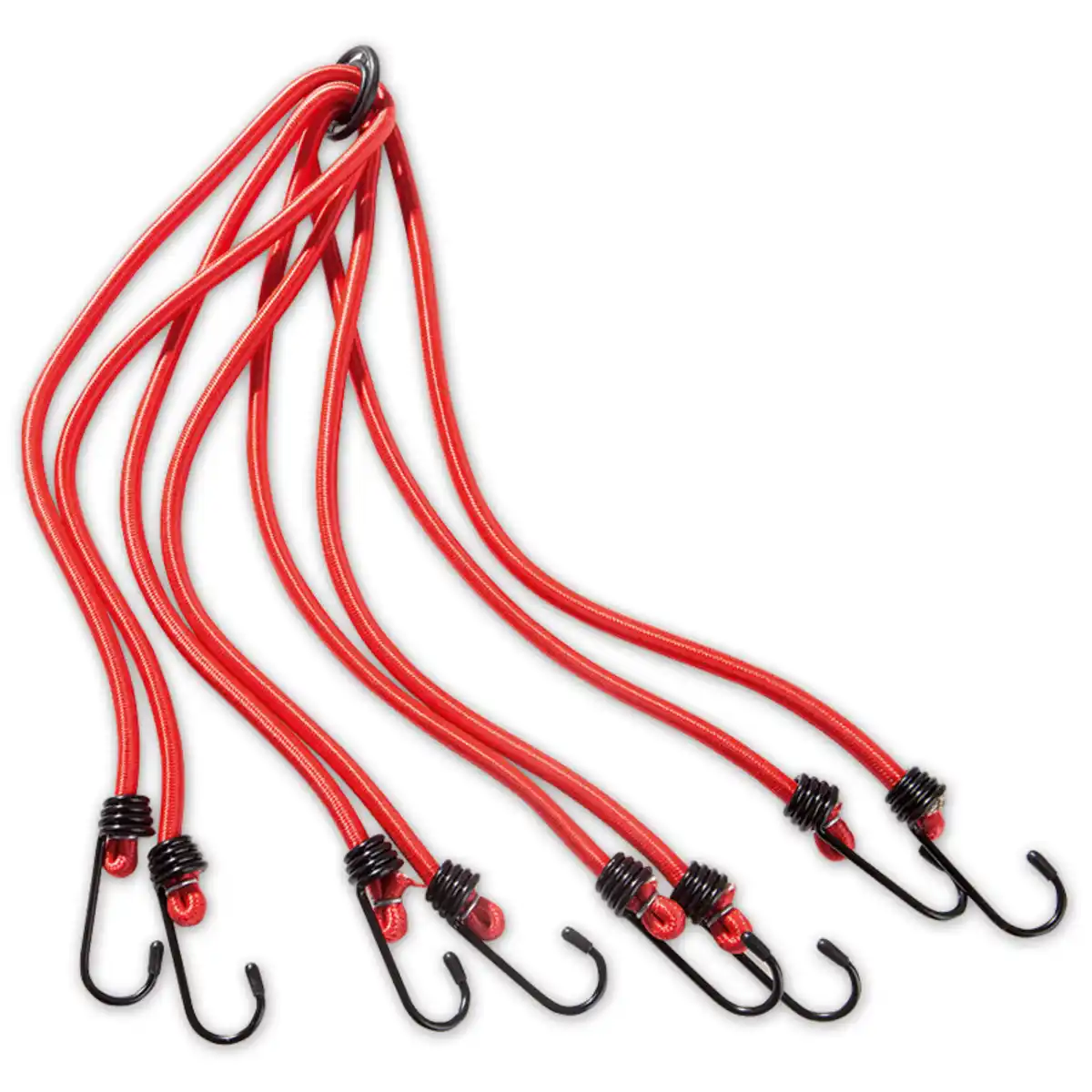 Bild 1 von Kraft Werkzeuge Gepäckspinne 2er