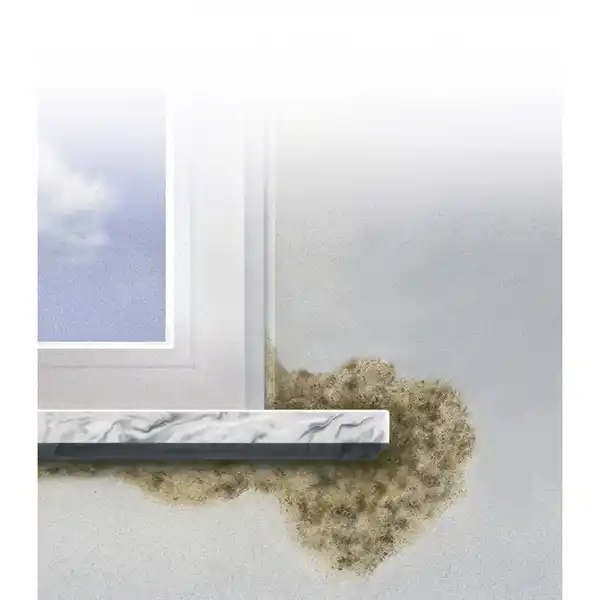 Bild 3 von MELLERUD Schimmel-Entferner, transparent, 0,5 l