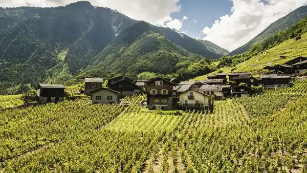 Bild 1 von Chamonix & Mont Blanc - Rundreise im Wallis