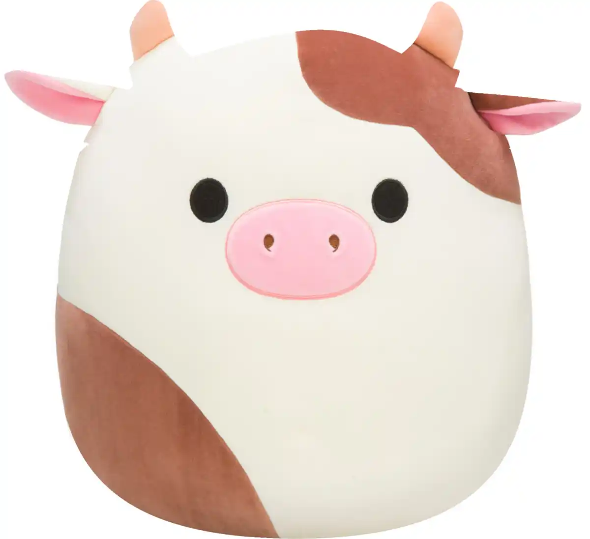 Bild 1 von Jazwares Squishmallows Exklusiv