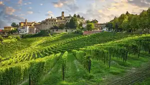 Italien - Weinrundreise