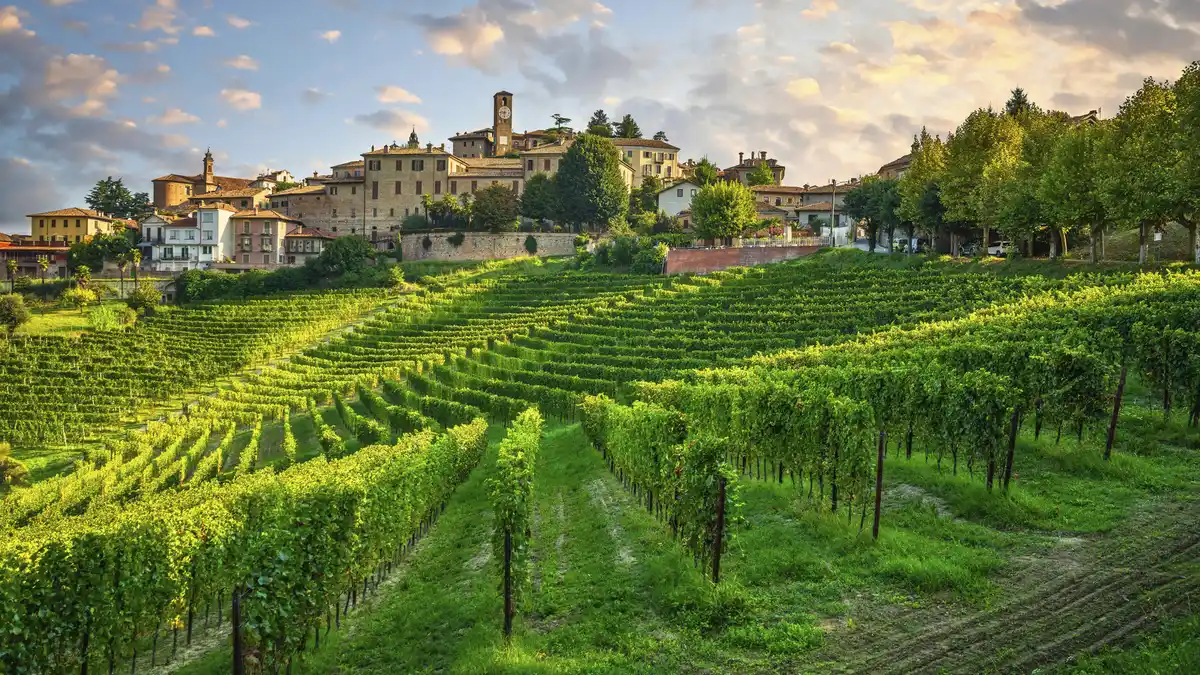 Bild 1 von Italien - Weinrundreise