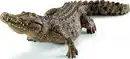 Bild 1 von Schleich Wild Life Krokodil 14736