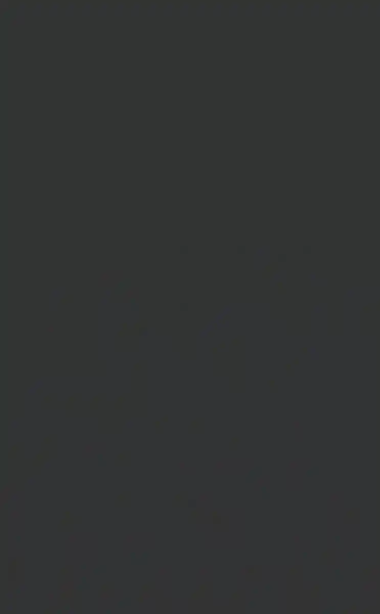 Bild 1 von Drehtür Unit in Anthrazit, Anthrazit