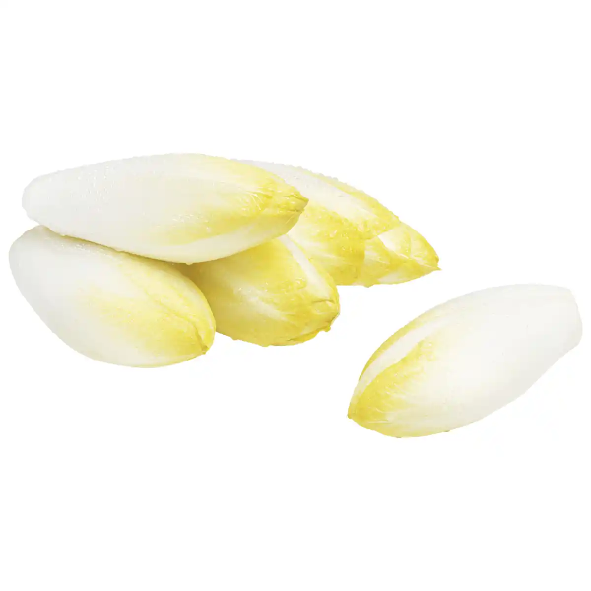 Bild 1 von Chicoree 500g