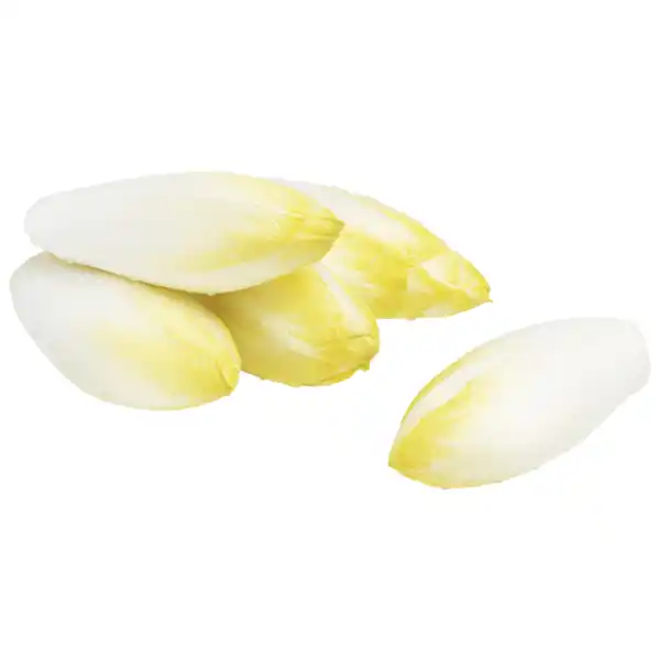 Bild 1 von Chicoree 500g