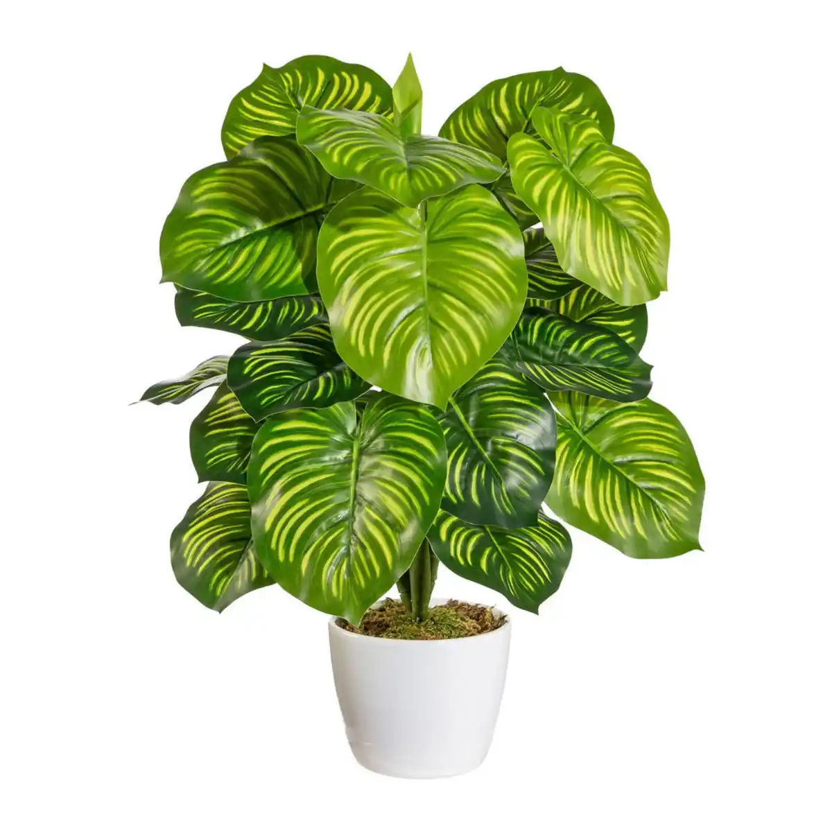 Bild 1 von P & B Kunstpflanze, Grün, Kunststoff, 50 cm, inkl. Topf, Dekoration, Blumen & Zubehör, Kunstpflanzen