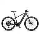 Bild 1 von E-Mountainbike 29 Zoll RR900e Bosch Performance CX schwarz matt