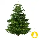 Bild 1 von Nordmanntanne auf Holzkreuz, Baum