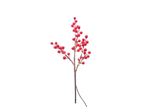 Bild 1 von Künstlicher Beerenzweig 40 warmweiße LEDs