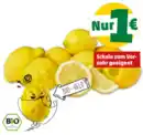 Bild 1 von NATURGUT Bio-Zitronen