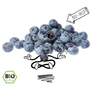 NATURGUT Bio-Heidelbeeren