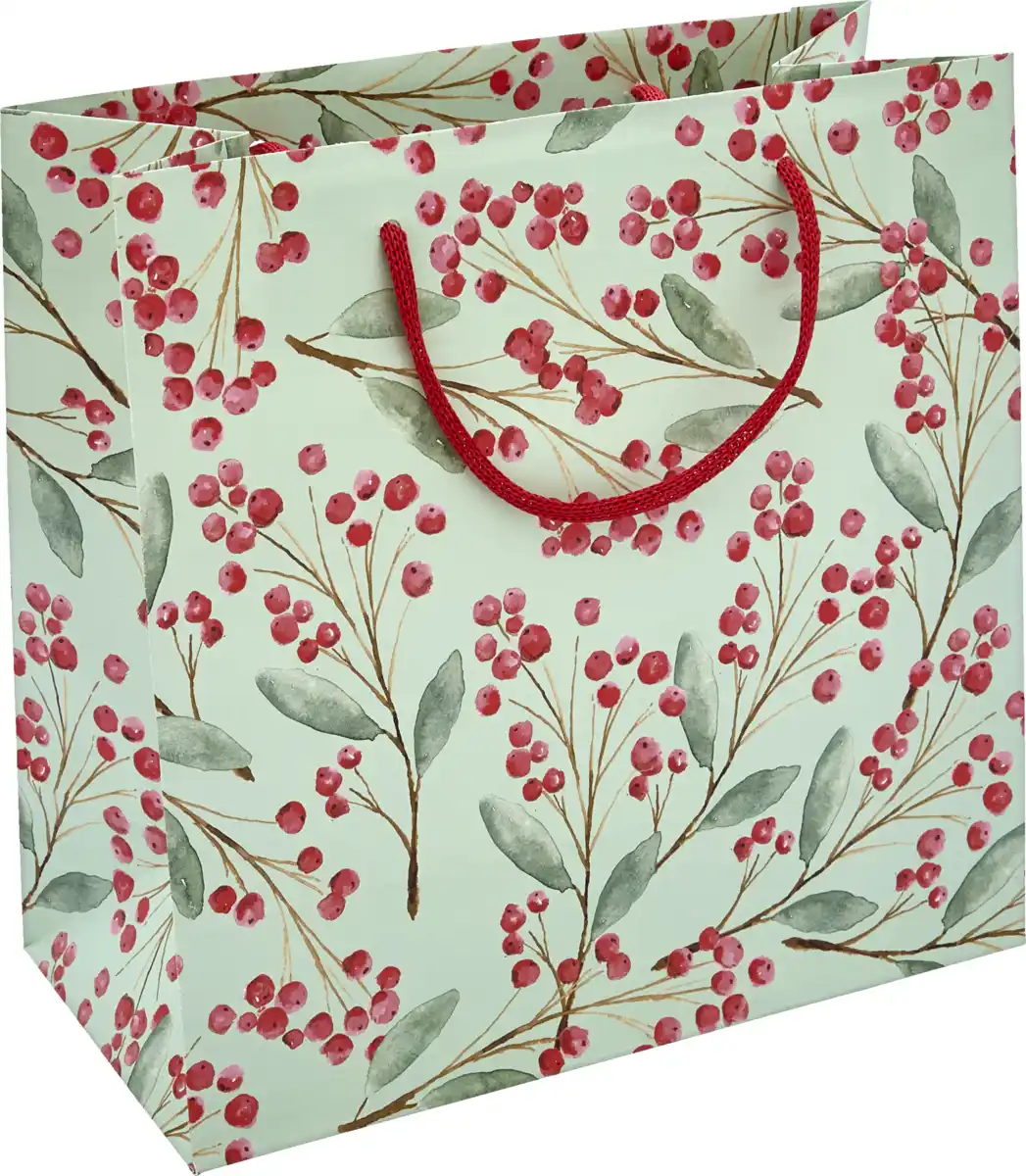 Bild 3 von DEKOWELT EB Standard-Geschenktüte EU HW 25