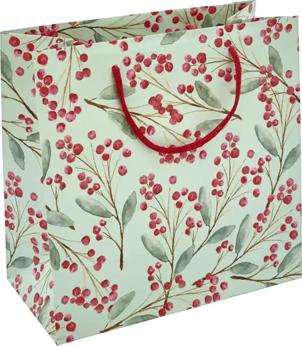 Bild 3 von DEKOWELT EB Standard-Geschenktüte EU HW 25