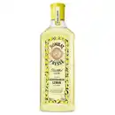 Bild 1 von BOMBAY Gin 700 ml, Presse