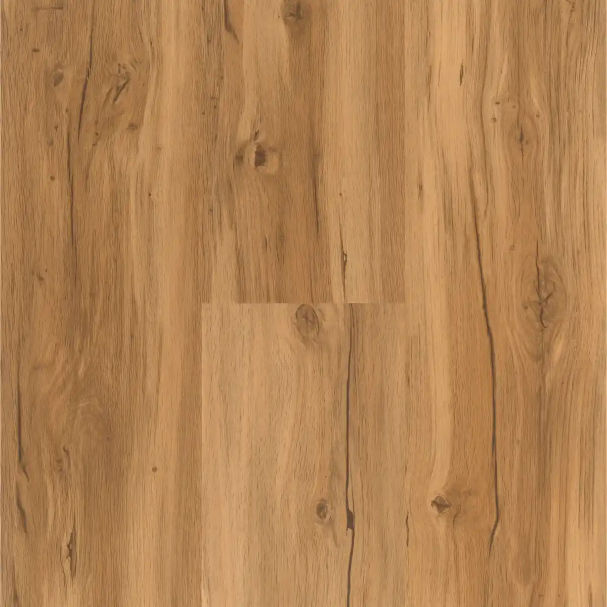 Bild 1 von Parador Vinylboden 'Basic 30' Eiche Valora Natur 9,4 mm