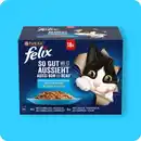 Bild 1 von FELIX®  Katzennassfutter, Geschmacksvielfalt aus dem Wasser oder Geschmacksvielfalt vom Land