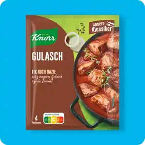 KNORR®  Fix, Gulasch