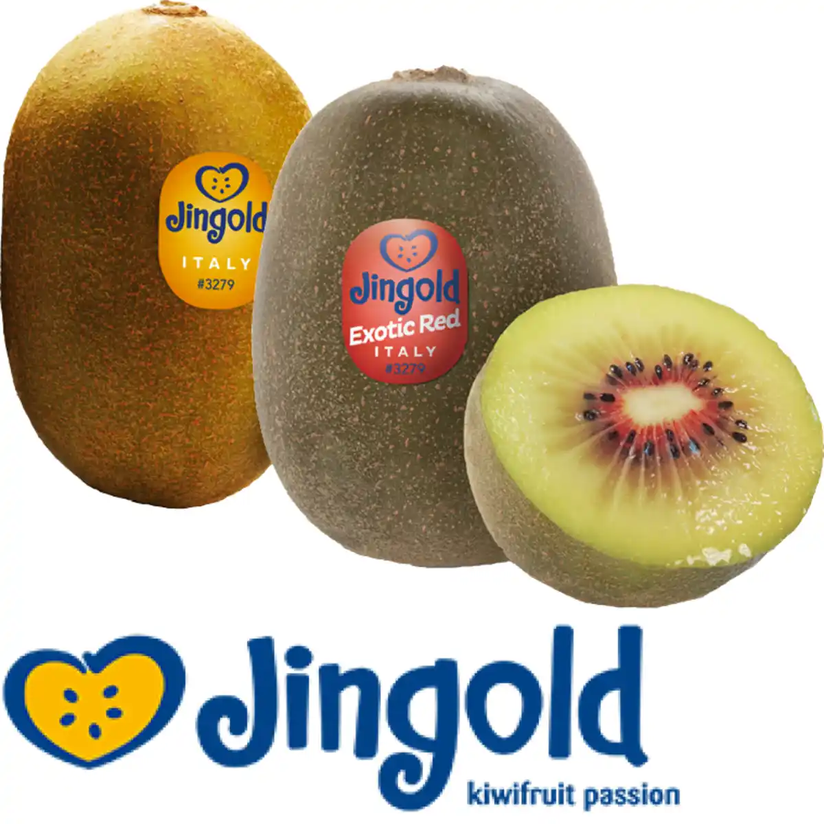 Bild 1 von Jingold Kiwi Exotic Red oder Gold