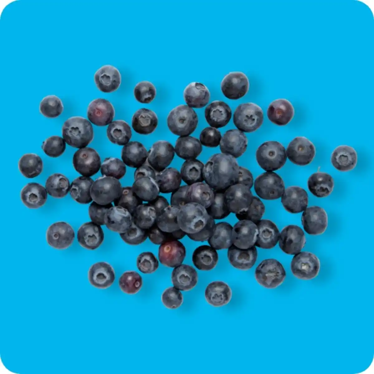 Bild 1 von KLEINE SCHÄTZE Heidelbeeren, Ursprung: siehe Etikett