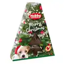 Bild 1 von Nobby Hundesnack Xmas Dog Box Chicken 150 g