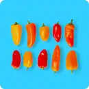 Bild 1 von   Snackpaprika, Ursprung: siehe Etikett