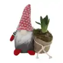 Bild 4 von GARDENLINE Hyazinthe