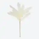 Bild 1 von Pampasgras-Kunstpflanze, Länge ca. 60 cm