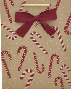 DEKOWELT Geschenktüte Braunkraft Hotfoil