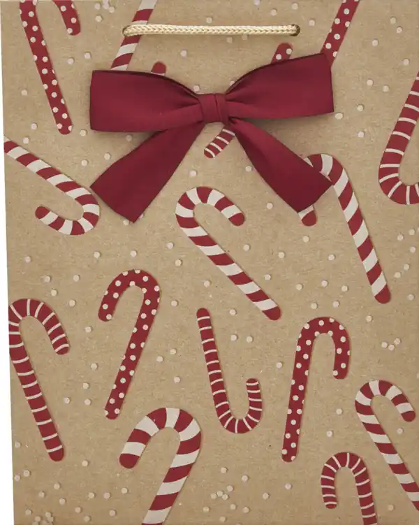 Bild 1 von DEKOWELT Geschenktüte Braunkraft Hotfoil