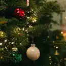 Bild 4 von Weihnachtsbaum Echte Nordmanntanne 150 - 175 cm hoch gesägt