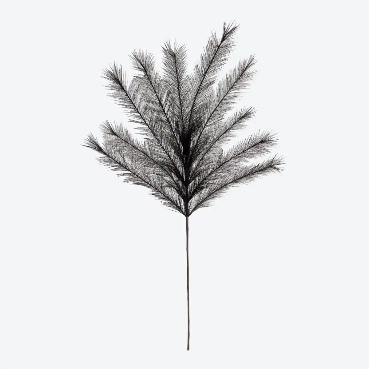 Bild 1 von Pampasgras-Kunstpflanze, Länge ca. 60 cm