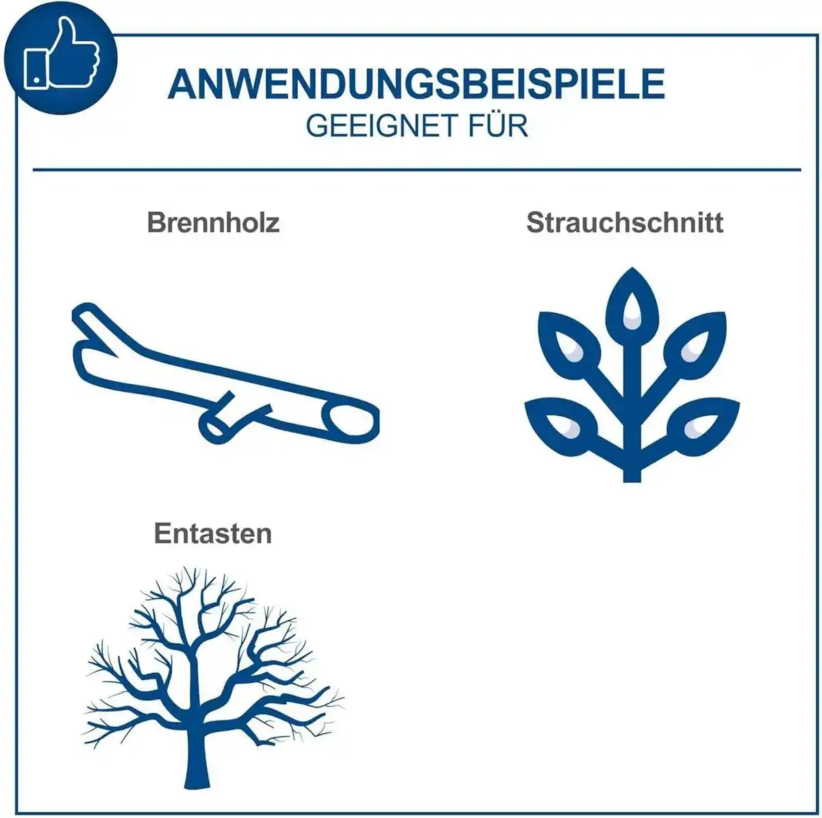 Bild 3 von Akku-Baumpflegesäge BC-TCS200-X - Set L