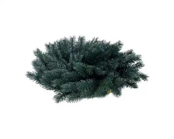 Bild 1 von Adventskranz D30cm novooo