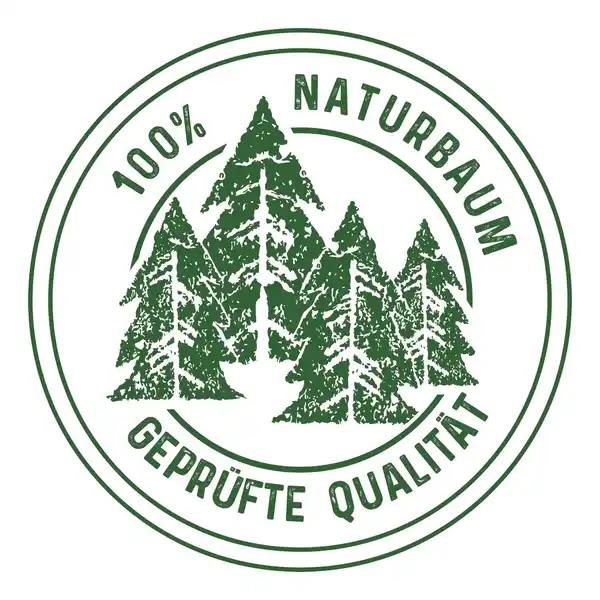 Bild 2 von Weihnachtsbaum Echte Nordmanntanne 150 - 175 cm hoch gesägt