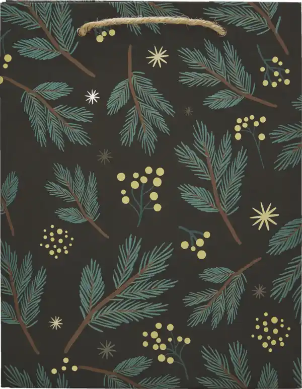 Bild 1 von DEKOWELT EB Geschenktüten gerippt Jutehenkel HW 2