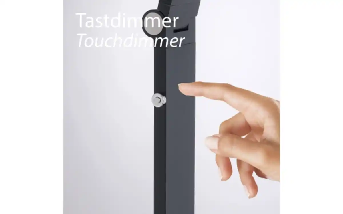 Bild 3 von LED-Stehleuchte Samsky, grau, inkl. CCT Funktion